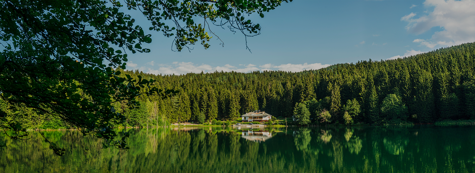 Planned, Phased Community